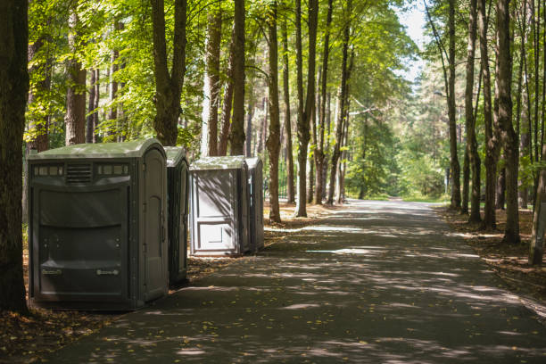 Best Luxury portable toilet rental  in Nashwauk, MN