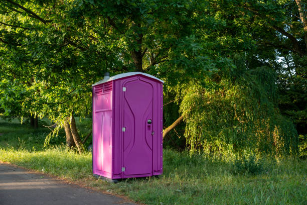 Best Porta potty rental for parties  in Nashwauk, MN